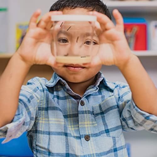 Insect Lore Cup of Caterpillars - 5 Live Painted Lady Caterpillars with Food - Refill for Butterfly Garden Kit - Stickers & Chrys-A-Lid Holding Log Included - STEM Learning Activity
