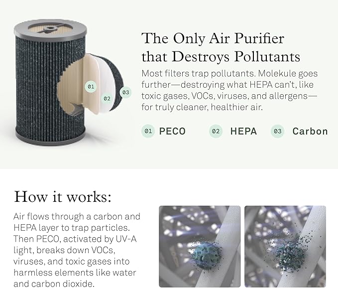Molekule Air Pro Air Purifier - Purifies Rooms Up to 1000 Sq Ft with High Foot Traffic - FDA Cleared for Destruction of Viruses, Bacteria & Mold - Silver