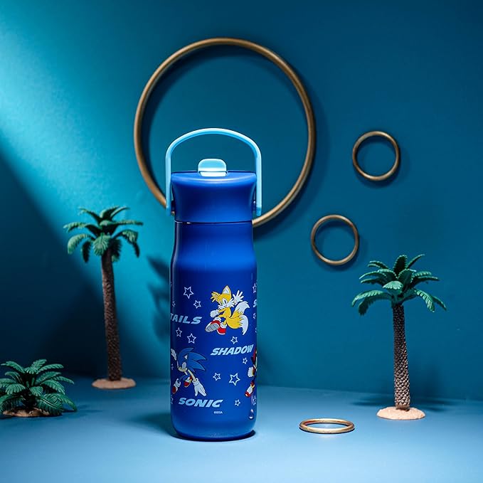 Zak Designs Harmony Sonic the Hedgehog Water Bottle for Travel or Home, 20oz Recycled Stainless Steel is Leak-Proof When Closed and Vacuum Insulated with Straw Lid and Carry Handle (Sonic & Friends)