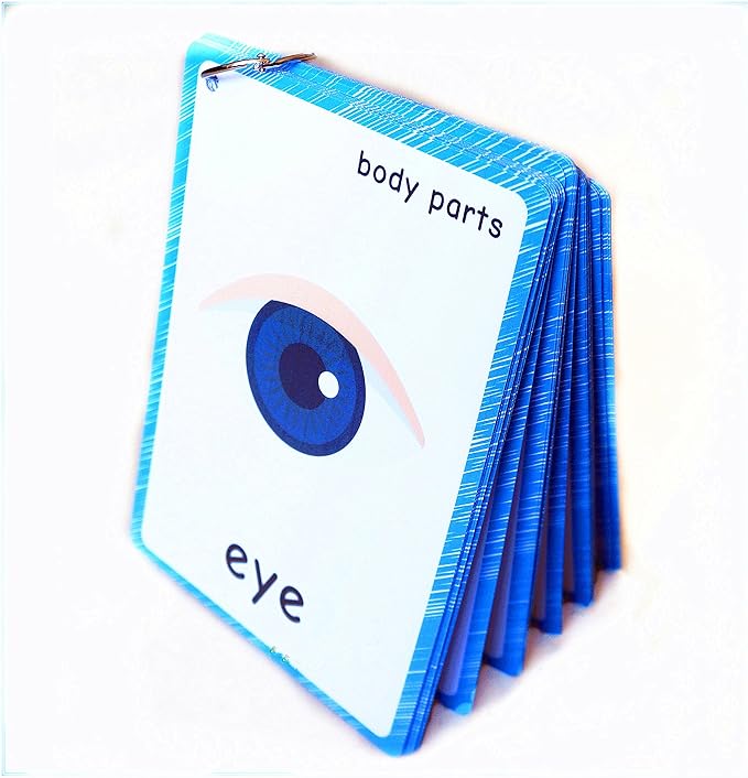 SANTSUN 36 Pieces of My Body Parts Flash Cards for Toddlers- The Flash HolePunched- So You can sort and Organize The Cards Easily and Early Learning Kindergarten Teacher Tools