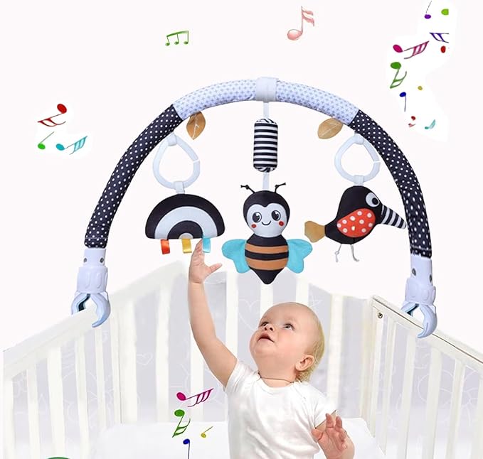 Car Seat & Stroller Toys