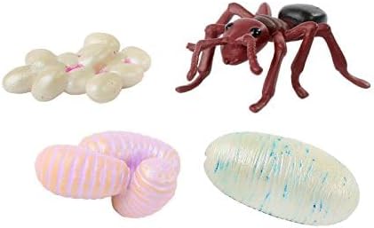 Insect Lore Butterfly Garden - 8" Habitat with 5 Live Baby Caterpillars - Includes Life Cycle Figurines, Stickers, Wind up, Mini Habitat | Birthday or Teacher Gift Set