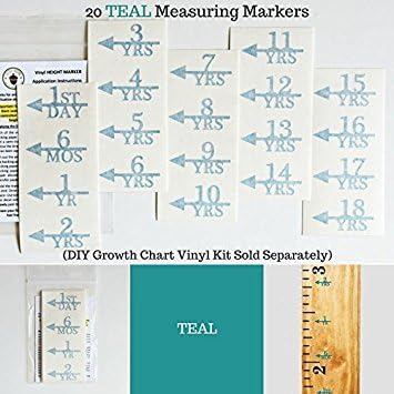 Little Acorns ADD ON - DIY Vinyl Growth Chart Ruler - Height Marker Arrows ONLY