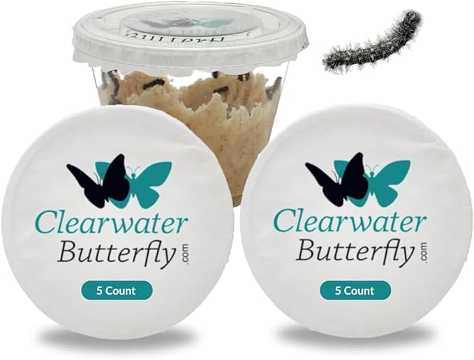 Clearwater Butterfly Live Painted Lady Butterflies - 10 Live Caterpillars - Live Caterpillars to Butterflies - Caterpillars for Butterfly Kit - Mesh Cage Not Included - Live Butterfly Kit - 10 Count