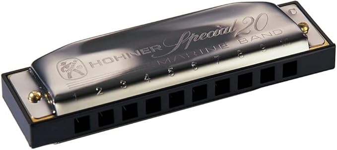 Hohner Special 20 Harmonica - Key of F Sharp Bundle with Case, Pouch, Online Manual, and Austin Bazaar Polishing Cloth