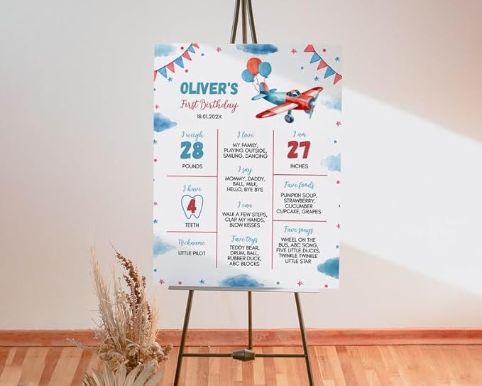Personalized Airplane Birthday Milestone Poster, Airplane 1St Birthday Milestone Sign, Time Flies Birthday Chalkboard, Design 017