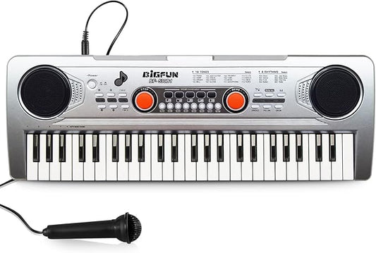 Raimy Piano Keyboard for Kids 49 Keys Portable Keyboard Piano Early Learning Educational Electronic Musical Instrument Toys Gifts for 3 4 5 6 7 8 9 Year Old Boys and Girls (Silver)