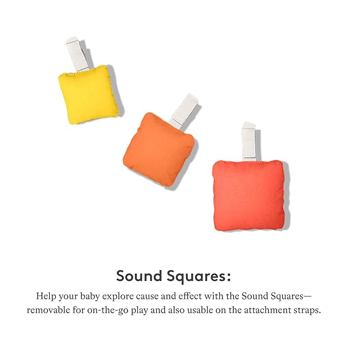 LOVEVERY | The Play Gym | Award Winning For Baby , Stage-Based Developmental Activity Gym & Play Mat for Baby to Toddler