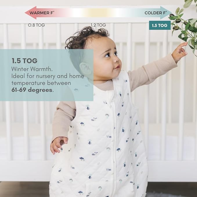 Tealbee Dreamsuit: Toddler Sleep Sack with Feet 3T 4T - 1.5 TOG Winter Baby Wearable Blanket for Walkers - Rayon made from Bamboo, Organic Cotton Sleep Bag - Mushroom