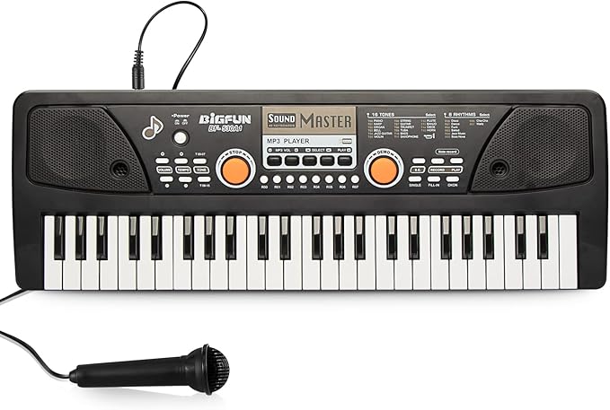 Raimy Piano Keyboard for Kids 49 Keys Portable Keyboard Piano Early Learning Educational Electronic Musical Instrument Toys Gifts for 3 4 5 6 7 8 9 Year Old Boys and Girls (Black)