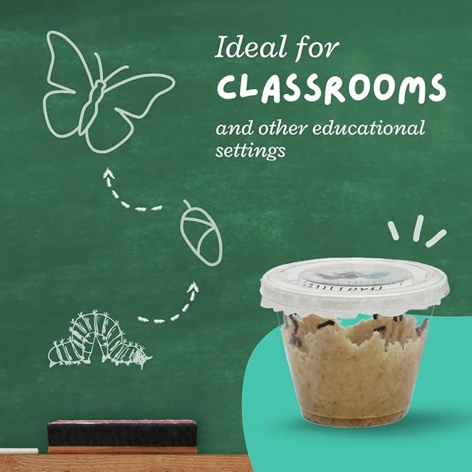 Clearwater Butterfly Live Painted Lady Butterflies - Butterfly Growing Kit with Live Caterpillars - Mesh Cage Included - Butterfly Habitat - 5 Live Caterpillars to Butterflies - Live Butterfly Kit