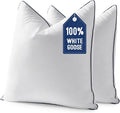 MIULEE Goose Feather Down 18x18 Pillow Insert Set of 2 by MIULEE