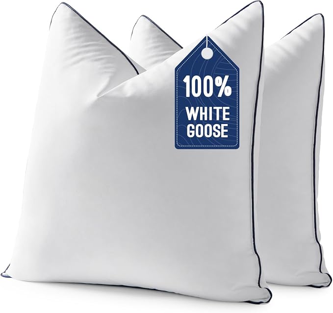 MIULEE Goose Feather Down 26x26 Euro Pillow Insert Set of 2 by MIULEE