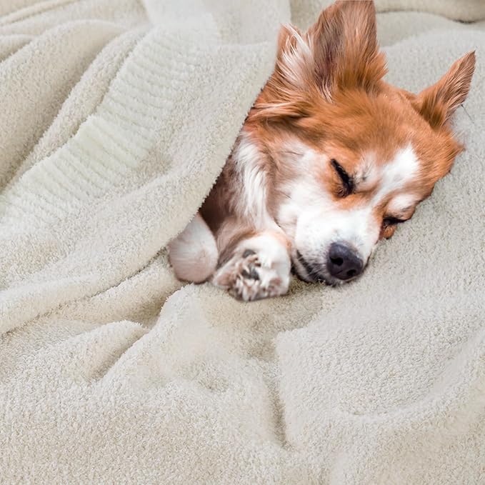 NEXHOME PRO Super Soft Blanket for Women, Cozy Blanket Warm Reversible Knit Lightweight Throws for Couch, Sofa Bed, Picnic, Heather Ivory, 50 x 60 inches