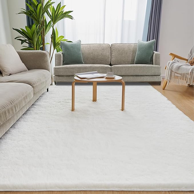 Fluffy Shag Area Rug, 4x6 White Rugs for Bedroom, Soft Plush Area Rugs for Living Room, Non-Slip Indoor Carpet for Nursery, Study Room, Dressing Room, Home Decor