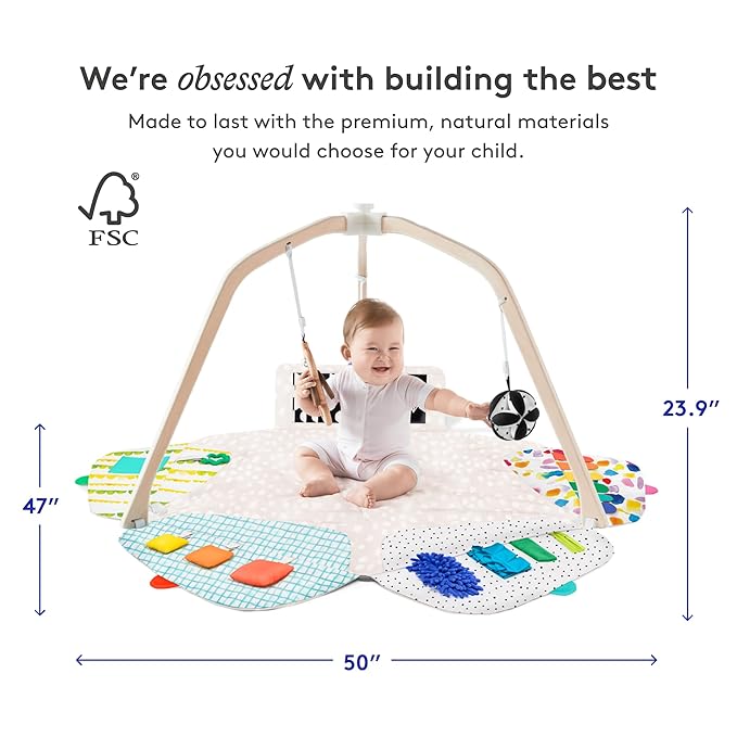 LOVEVERY | The Play Gym | Award Winning For Baby , Stage-Based Developmental Activity Gym & Play Mat for Baby to Toddler
