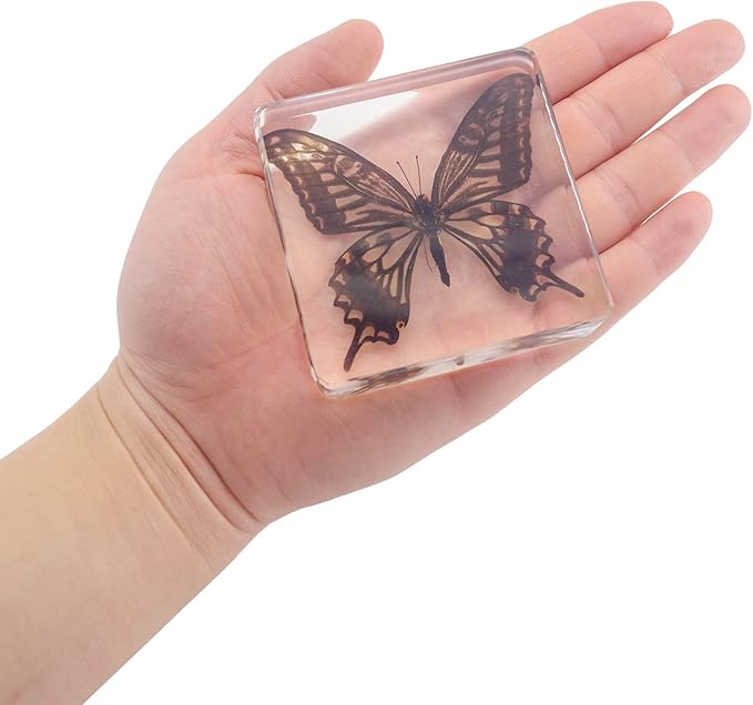 4 PCS Butterfly Specimen Set, Danaus Genutia, Graphium Sarpedon, Asian Swallowtail, Delias Pasithoe Butterfly Resin Collection Science Toys