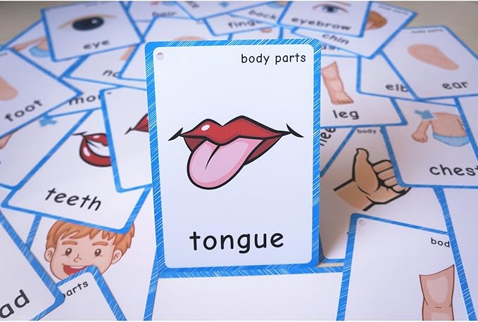 SANTSUN 36 Pieces of My Body Parts Flash Cards for Toddlers- The Flash HolePunched- So You can sort and Organize The Cards Easily and Early Learning Kindergarten Teacher Tools