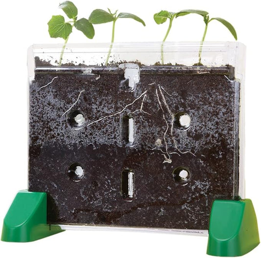 Educational Insights Sprout & Grow Window - See-Through Sprouts Growing Kit, Kids Gardening Set, Starter Science Kits for Kids, Root Viewer, Interactive Homeschool or Classroom Planter, Ages 5+