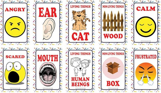 Creanoso US Schools and Learning Flash Cards Series (2-Deck)