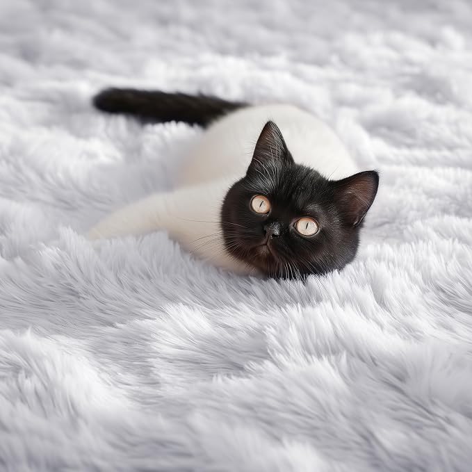 PAGISOFE White Fluffy Shag Area Rugs - Image 5