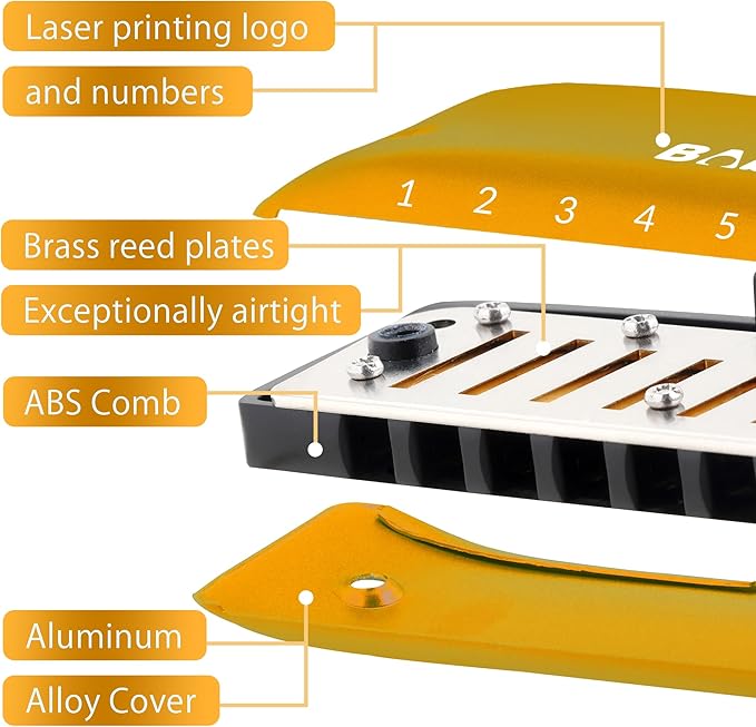 BabyFat 7 Hole Blues Mini Harmonica Set,Diatonic Harmonica with free lanyards,Gifts for Professional Players and Beginners,Easy-playing Musical Instrument(Key of G）