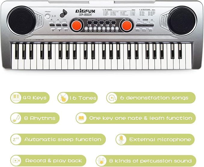 Raimy Piano Keyboard for Kids 49 Keys Portable Keyboard Piano Early Learning Educational Electronic Musical Instrument Toys Gifts for 3 4 5 6 7 8 9 Year Old Boys and Girls (Silver)