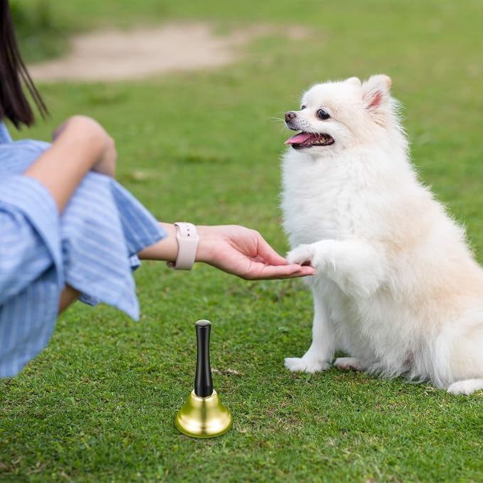 Boao 12 Pieces Metal Hand Bells Music Service Hand Bells Musical Instruments Percussion for Christmas Party Supplies(Gold)