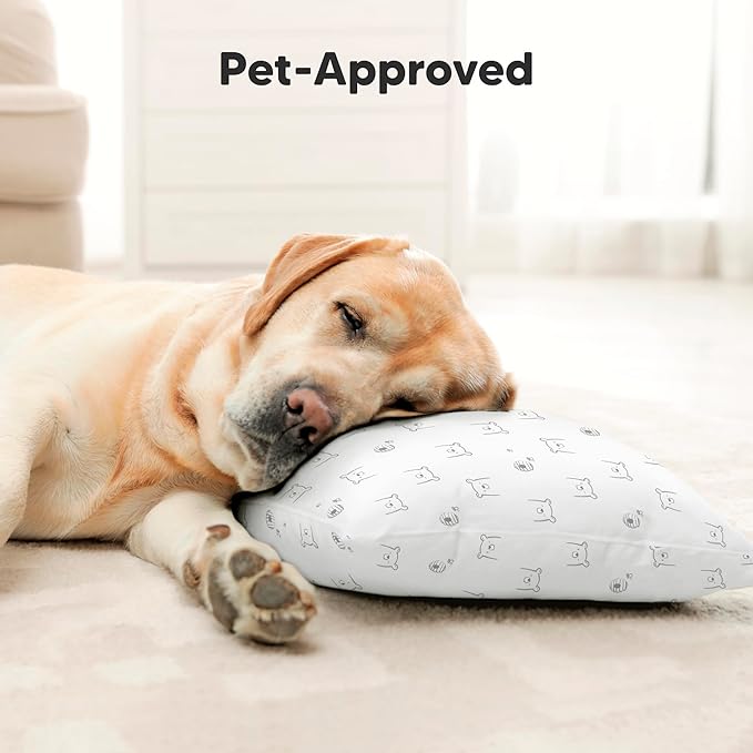 Toddler Pillow with Pillowcase - 13x18 My Little Cuddly Pillow, Viscose Derived From Bamboo Nursery Toddler Pillows for Sleeping,Kids Pillow,Small Travel Pillows, Mini Toddler Bed Pillow (Bumble Bear)