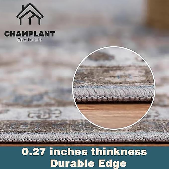 Area Rug 6'x9' Light Cyan and Light red Washable Vintage Traditional Floor Cover Thin Retro Kitchen Indoor Distressed Non Slip Carpet for Living Room Bedroom Dining Room