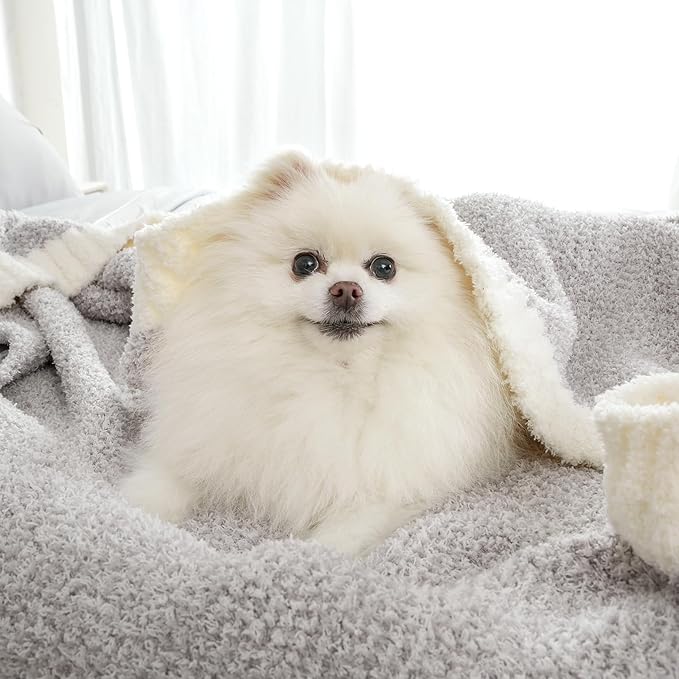 Snuggle Sac Queen Size Bedding Blanket Grey Color, Super Soft Warm Blankets for Bed, Living Room, Luxurious Microfiber Blanket Dupes, Heather Grey, 90x90 inches