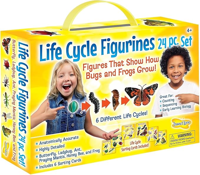 Insect Lore's Life Cycle Figurines 24 Pc Set | Butterfly, Ladybug, Frog, Honey Bee, Ant and Praying Mantis | 4 Stages Per Insect, 24 Figurines Total