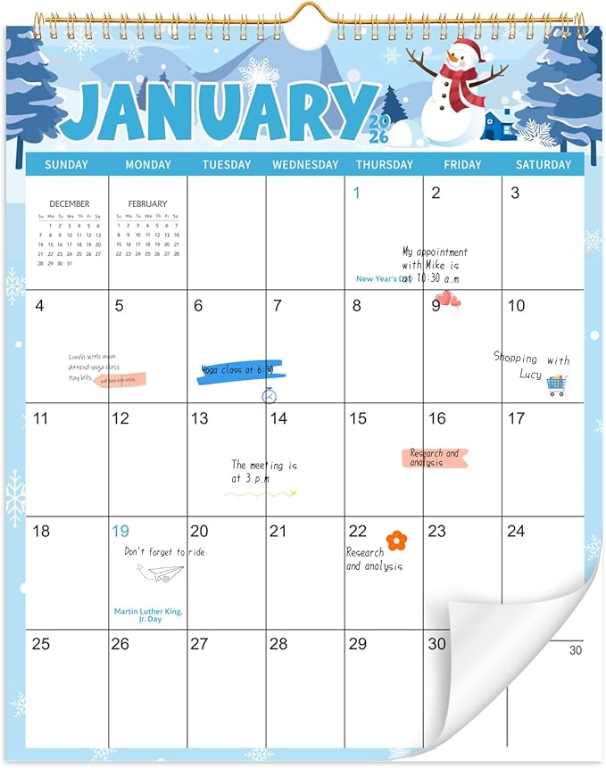 Wall Calendar 2026-2027, 18 Month Calendar from January 2026 to June 2027 14.5" x 11.8" Large Desk Calendar with Twin-Wire Binding for Home Office Planning Personal Organisers, Festival Style