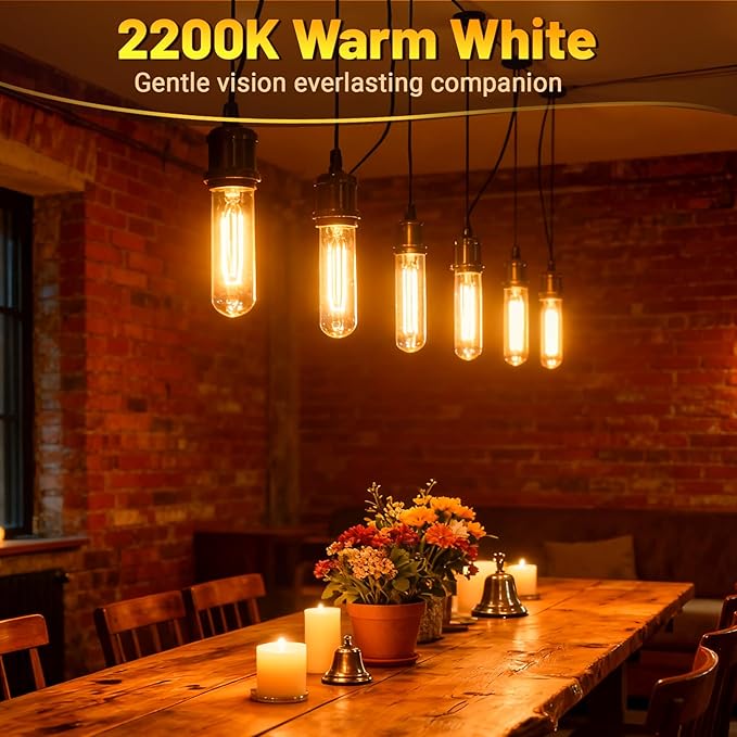 T10 Tubular Light Bulbs 40 Watt Incandescent Light Bulb, T10 Bulb, 120V 40W - Image 3