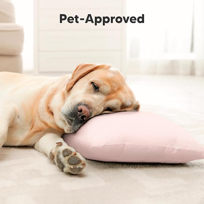 Toddler Pillow with Pillowcase - 10x18 My Little Dreamy Kids Travel Bed Pillows for Sleeping, Organic Cotton Small Pillowcase, Soft & Breathable, Machine Washable, Toddlers 2-5 years old (French Gray)