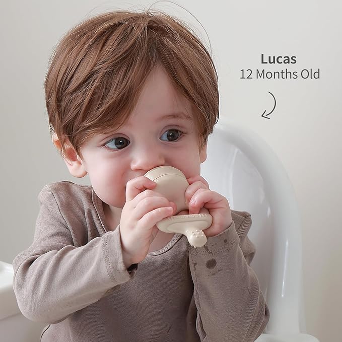 SAMiGO Baby Food Fruit Feeder and Breastmilk Popsicle Mold Set, Silicone Fruit Teether, Food Feeder Pacifier for Teething Relief, Freezer Tray, Baby Feeding Essentials, 4 Months+