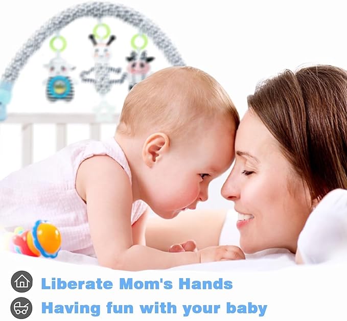 Pau1Hami1ton Baby Stroller Arch Toys, Car Seat Toys,Baby Gifts.S-19(Ant)