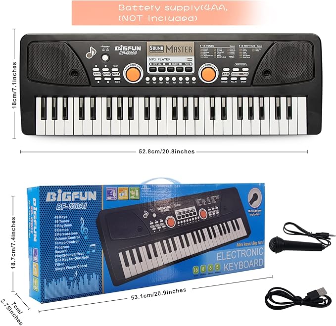 Raimy Piano Keyboard for Kids 49 Keys Portable Keyboard Piano Early Learning Educational Electronic Musical Instrument Toys Gifts for 3 4 5 6 7 8 9 Year Old Boys and Girls (Black)