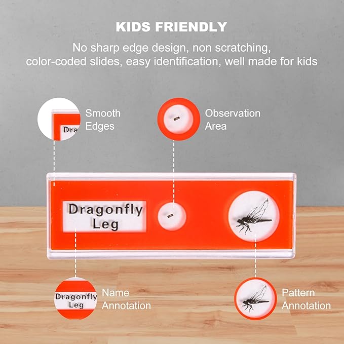48 Prepared Microscope Slides Set of Animals Insects Plants Flowers, Biological Learning Resource Specimens for Kids Beginner Classroom Basic Science Education