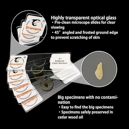 30 Prepared Microscope Slides with Specimens for Kids Students-Animal and Plant Microscope Slide Sets - Random Delivery (Either One Set) for Biological Lab, Children's Science Education, Homeschooling