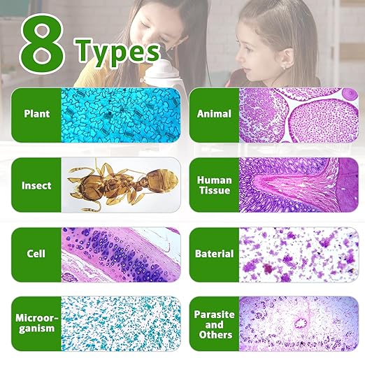 30 Microscope Slides with Specimens,Prepared Microscope Slides for Kids,Glass Slides for Microscope,Prepared Slides for Kids Microscope,Microscope Slide Preparation Kit for Biology Science Classes