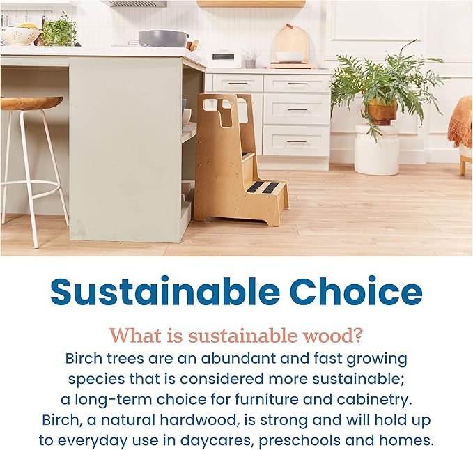 ECR4Kids Reach-Up Step Stool with Handles, Kids Furniture, Natural