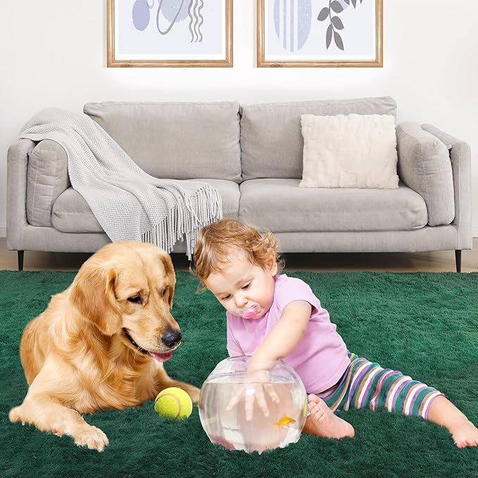 Ultra Soft Area Rug, Fluffy 5x7 Green Rugs for Living Room, Plush Area Rugs for Bedroom, Non-Slip Indoor Carpet for Nursery, Study Room, Kids Room, Room Decor