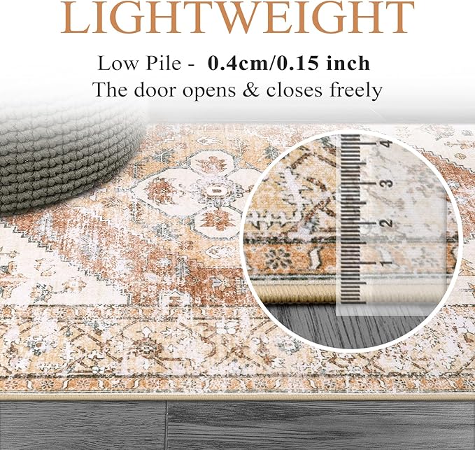 Lahome Boho Washable Living Room Area Rug 3x5 Throw Non-Slip Rugs for Bedroom Aesthetic Lightweight Thin Entry Rug Kitchen Rugs Oriental Distressed Print Capet for Office Bathroom Laundry Room