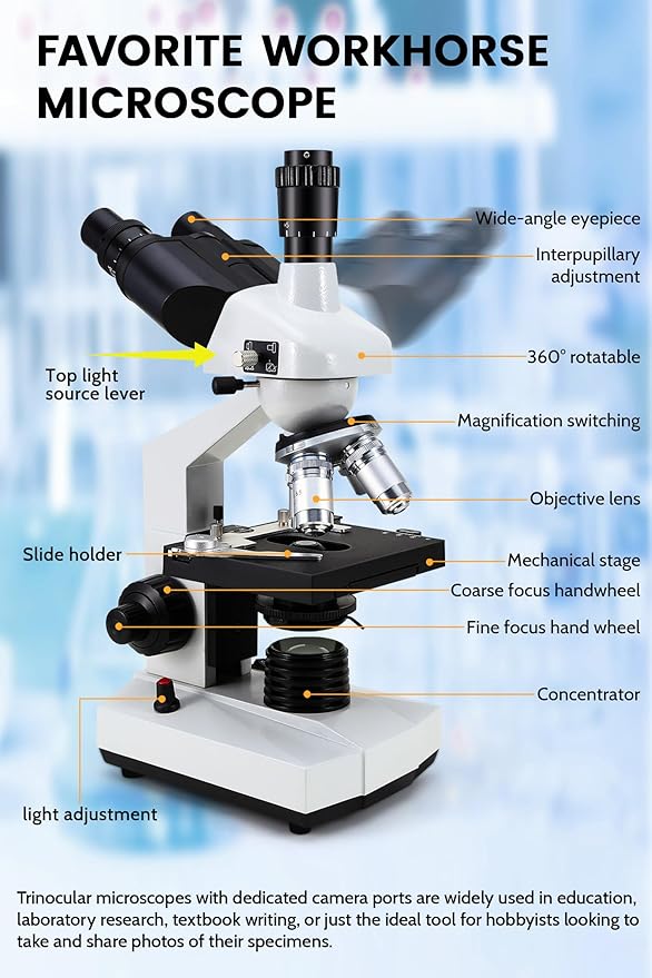 40X-5000X Compound trinocular Microscopes trinocular for Adults, with 5.0 mp Camera with Microscope Slides 30p, Microscope Accessories, Microscopes for School Laboratory Home Education Abbe Condenser