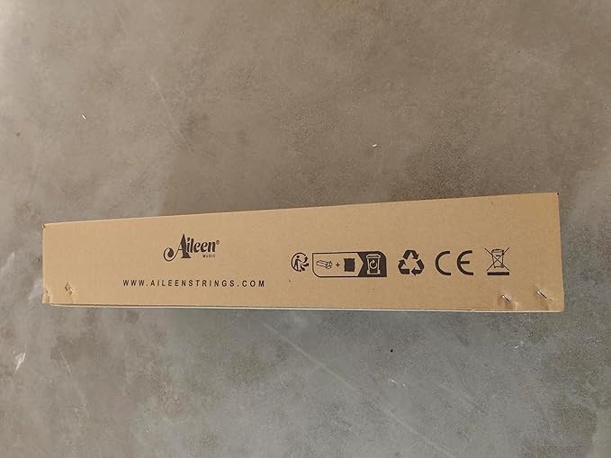 Aileen Solid Wood Violin 4/4 Full Size for Adults and Kids Age 12+, Fiddle Set for Beginners Student, Professional Violin Starter Kit with 12 Accessories (Selected European Solid Spruce and Maple)