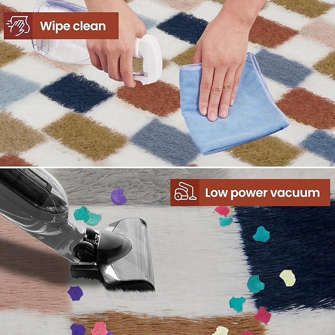 Super Soft Rug for Bedroom, 3x5 Ft Rainbow Area Rug Classic Checkered Shaggy Rug Anti-Skid High Pile Soft Fluffy Fuzzy Carpet for Living Room Bedroom Kids Room Nursery, Dorm Home Decor