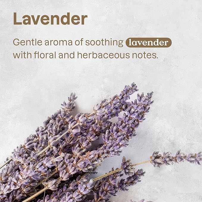 ATTITUDE Air Purifier with Activated Carbon Filter, Plant- and Mineral-Based Ingredients, Traps Pet Odors and Pollutants, Vegan and Cruelty-free, Lavender, 8 Ounces