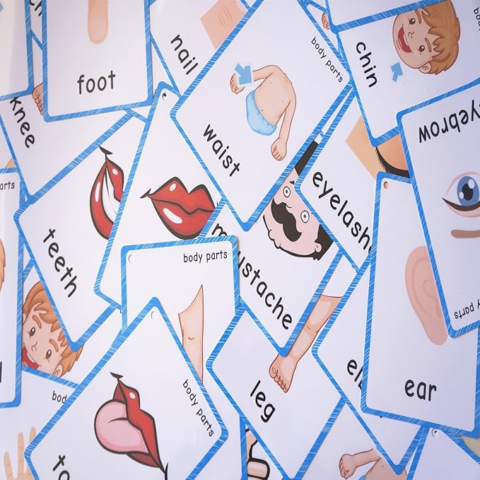 SANTSUN 36 Pieces of My Body Parts Flash Cards for Toddlers- The Flash HolePunched- So You can sort and Organize The Cards Easily and Early Learning Kindergarten Teacher Tools