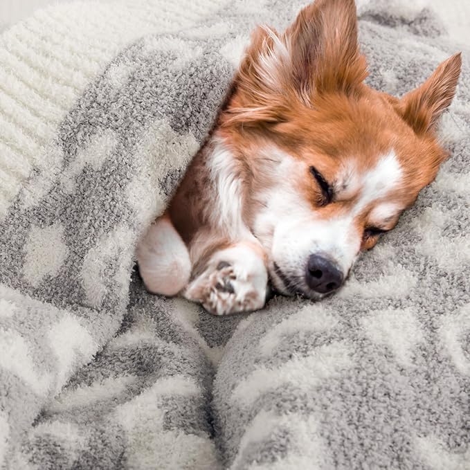 NEXHOME PRO Leopard Soft Blanket, Fuzzy Throw Blanket for Couch Bed Sofa Picnic, Knit Blankets for Women Gifts Grey 50 x 60 inches